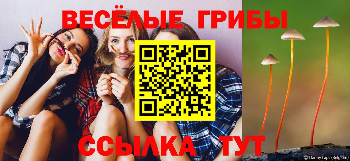 Видное  Галлюциногенные грибы мицелий  Вход с VPN  Псилоцибиновые грибы MAGIC MUSHROOMS 